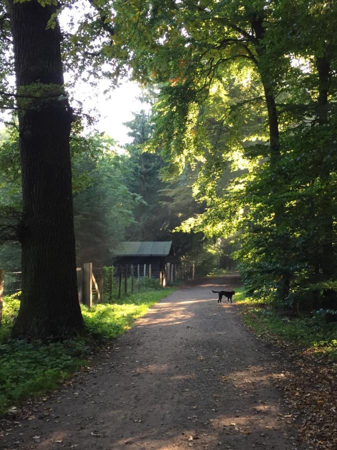 Hannover List 2 Bedroom Home Away From Home Exteriör bild